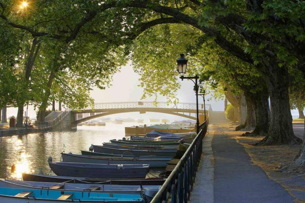 Le Continental Beau T2 Plein Centre + Parking Leilighet Annecy Eksteriør bilde